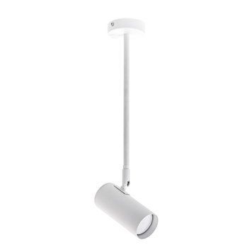 Світильник стельовий (спот) Pelikan GU10 С120 White 1251112 фото